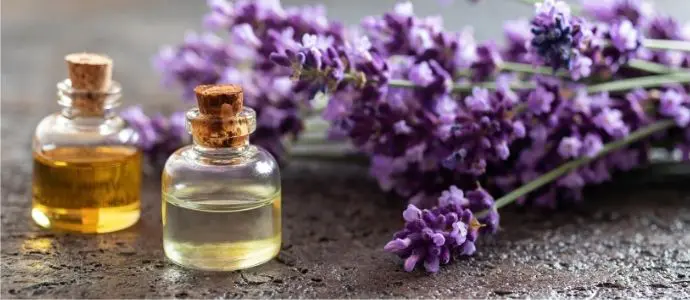olii essenziali lavanda